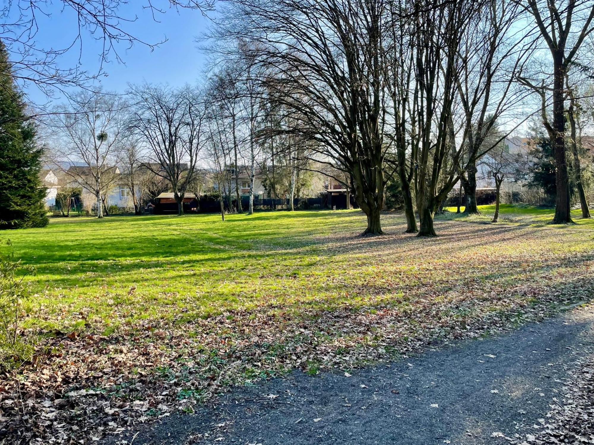 Apartment By The Park, For Bike Lovers Alsfeld Exteriör bild